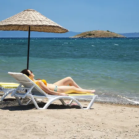 Asmira Royal 호텔 *